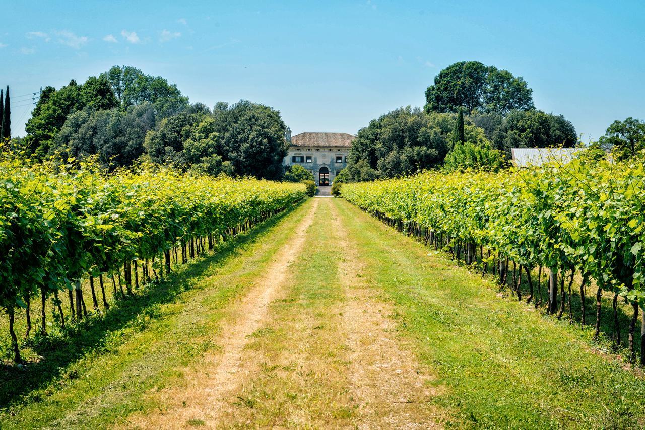 Relais Villa Sagramoso Sacchetti Verona Eksteriør billede