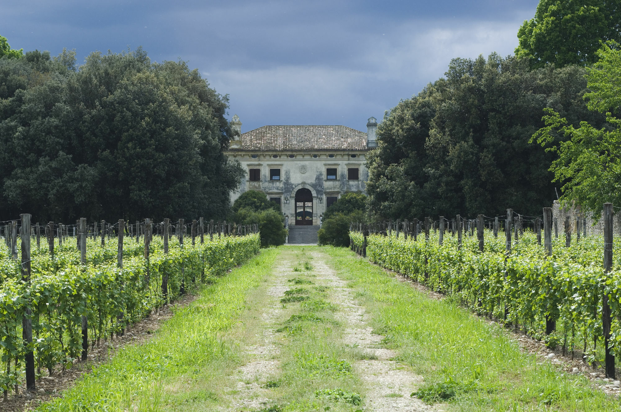 Relais Villa Sagramoso Sacchetti Verona Eksteriør billede